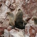 Peru 0103